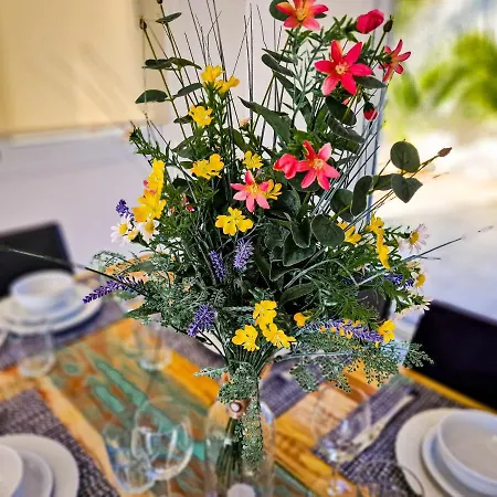 别墅 Nissi Oleandra 圣纳帕