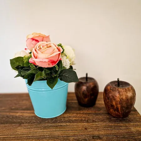 ヴィラ Nissi Oleandra *