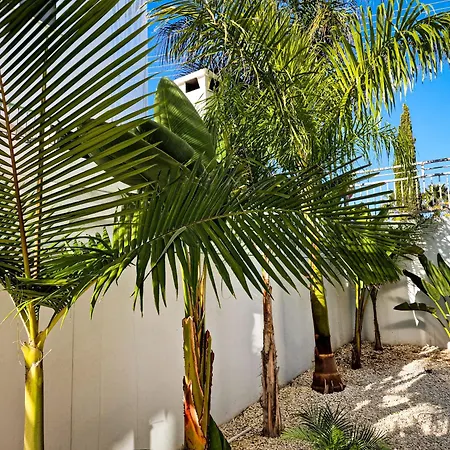 Villa Nissi Oleandra