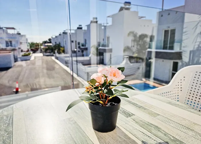 Nissi Oleandra Willa